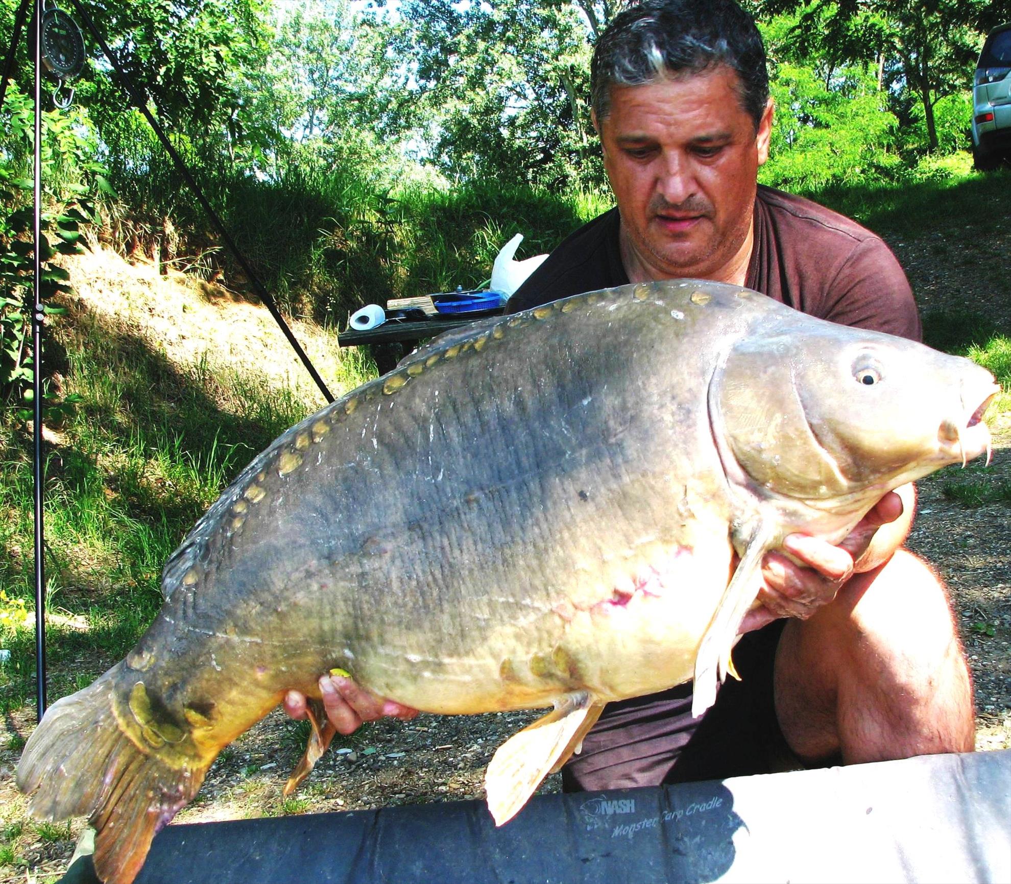 Pelagicevo Jezero  mai 2015 - img2138.JPG